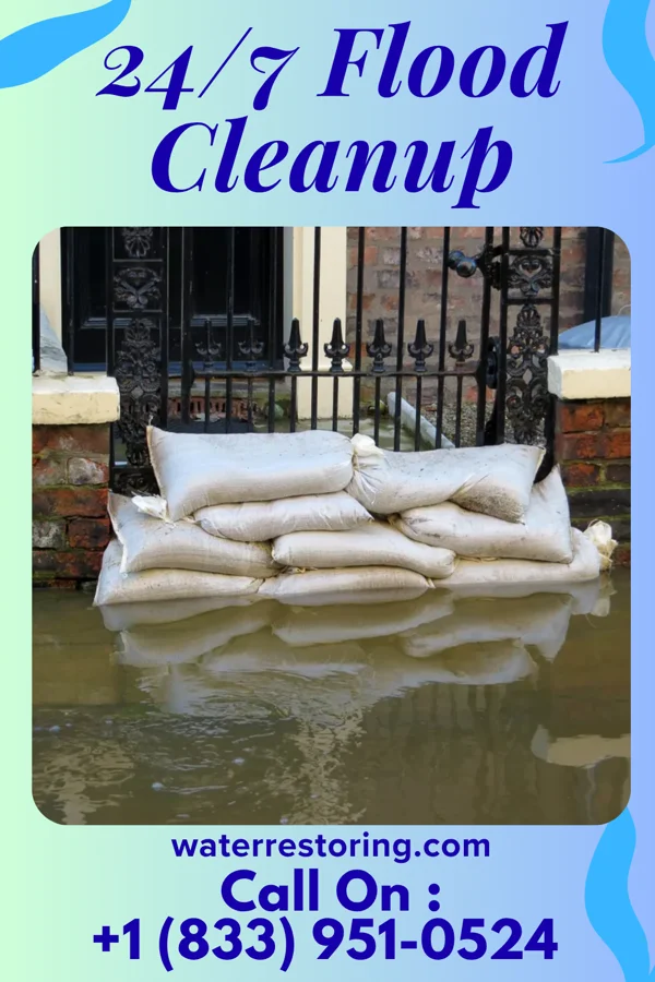 24/7 Flood Cleanup in Clarissa, MN