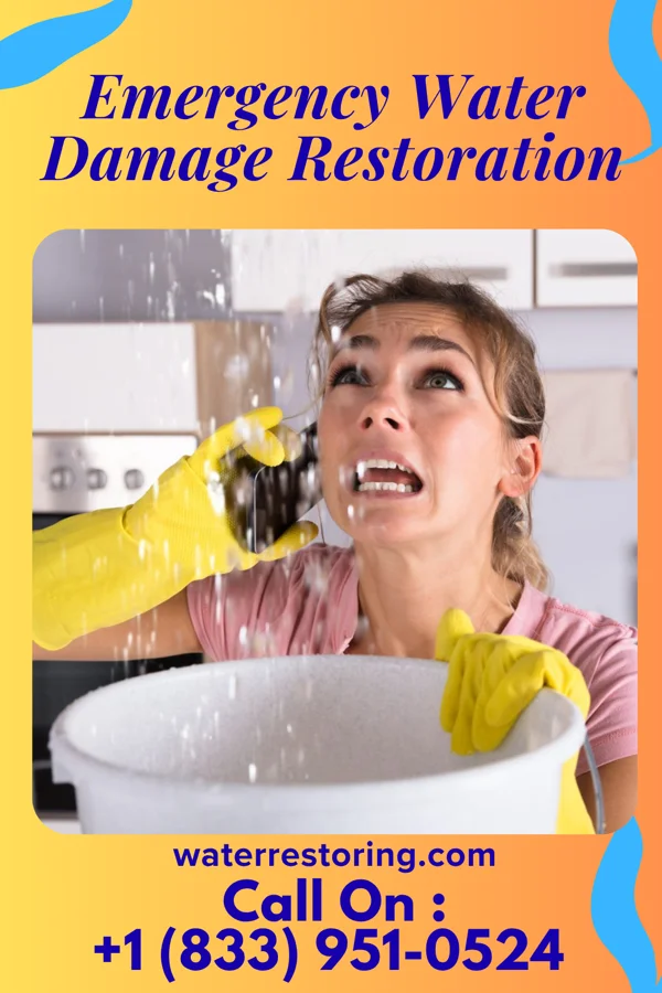 Emergency Water Damage Restoration in Clarissa, MN