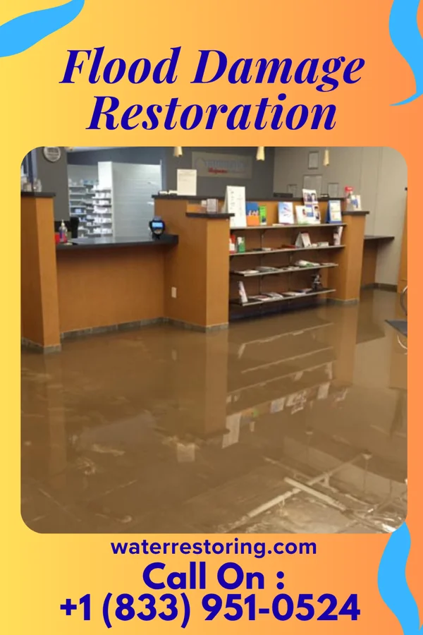 Flood Damage Restoration in Clarissa, MN